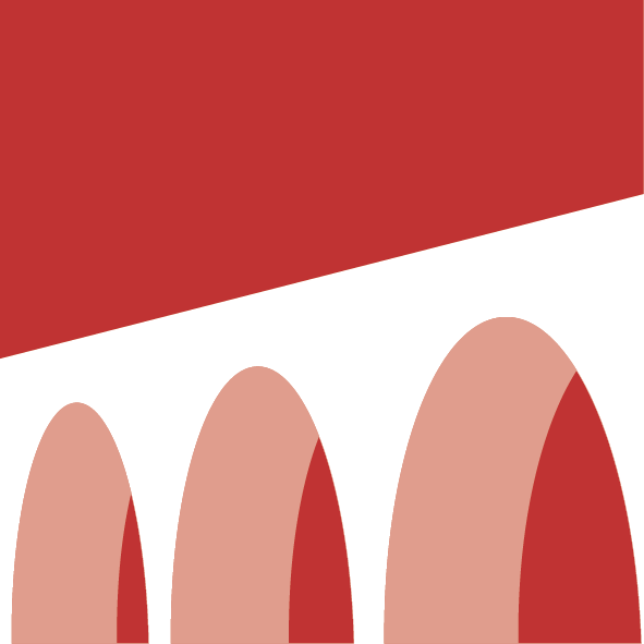 DataBridge logo